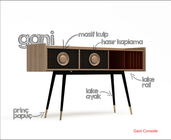 Gani Console
